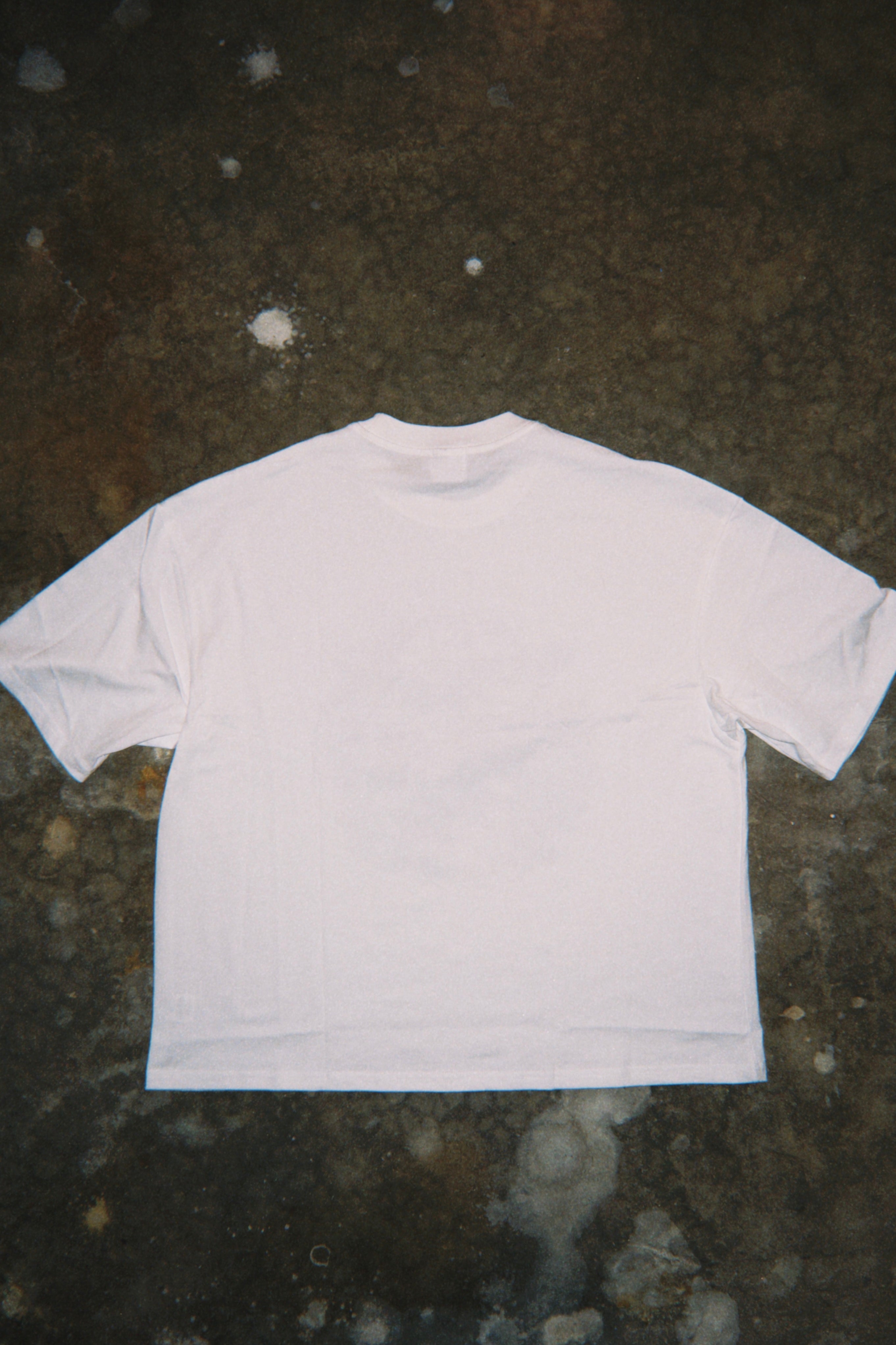 THE BIRTH OF OUR SAVIOUR Tee