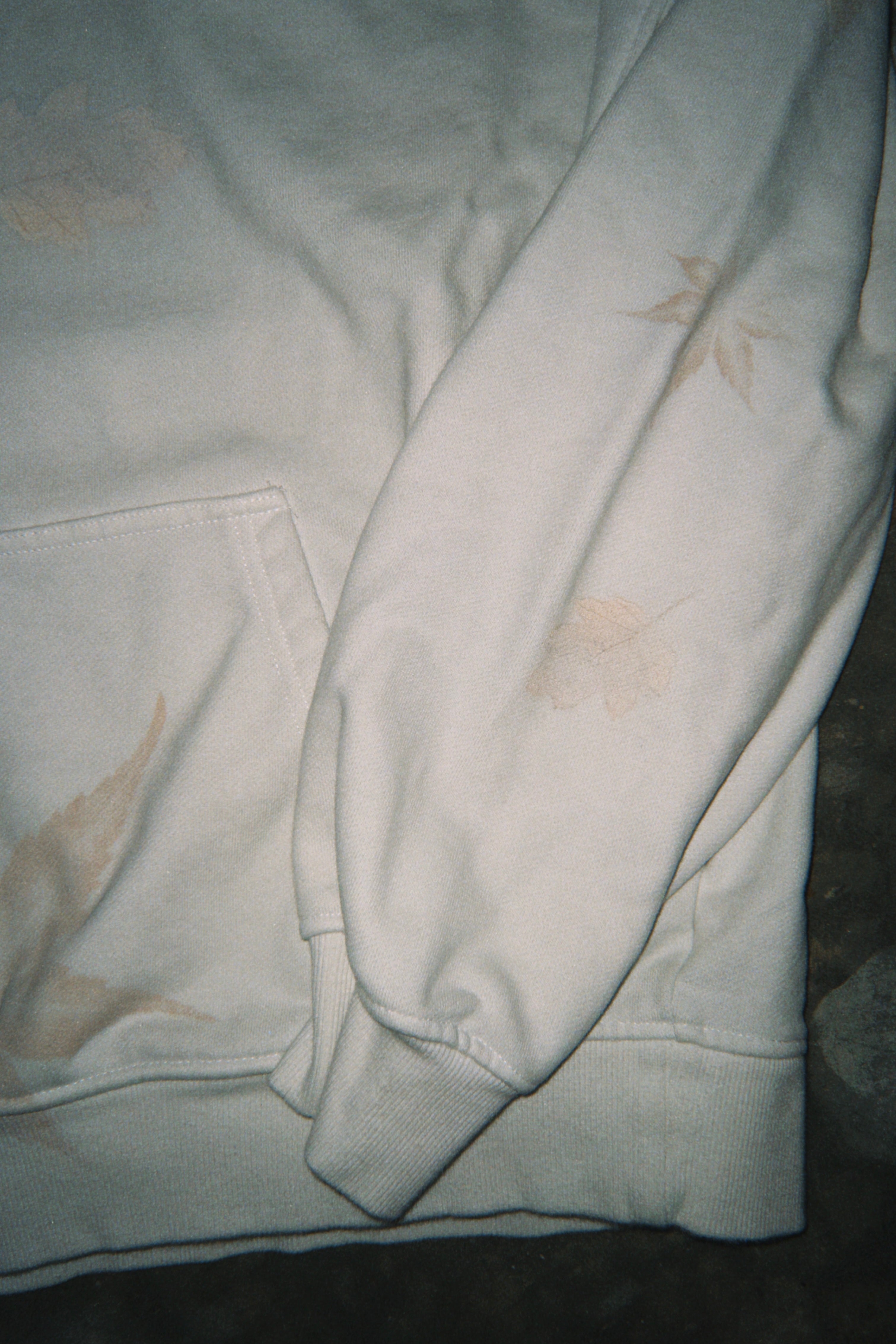 FALLEN LEAVES Hoodie