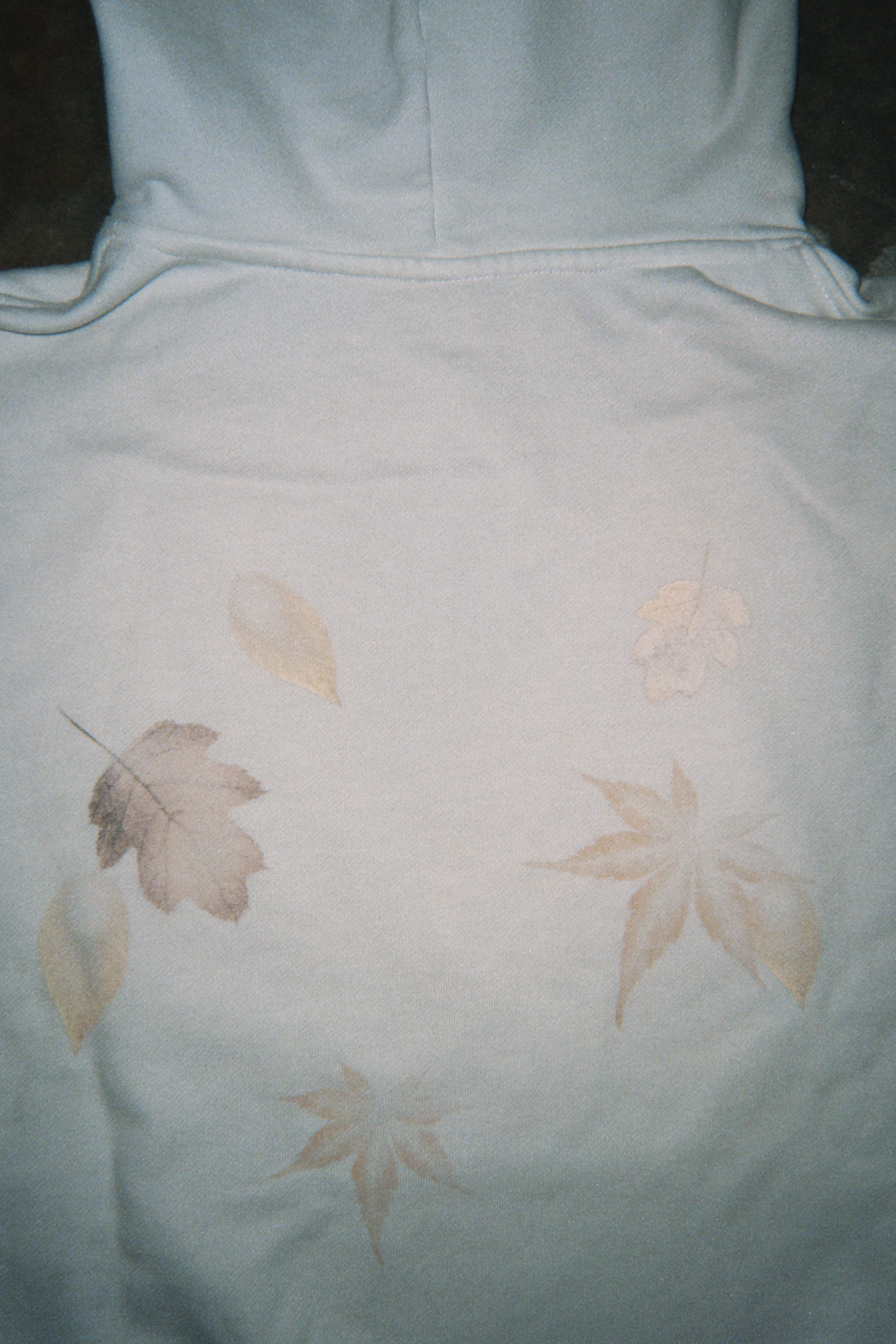FALLEN LEAVES Hoodie