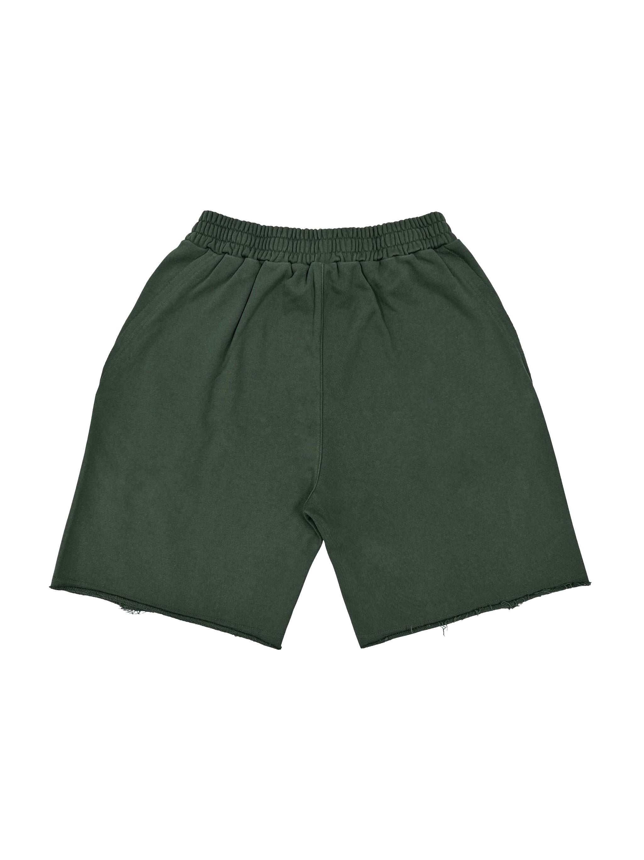 VINTAGE TIGER WASHED SHORTS