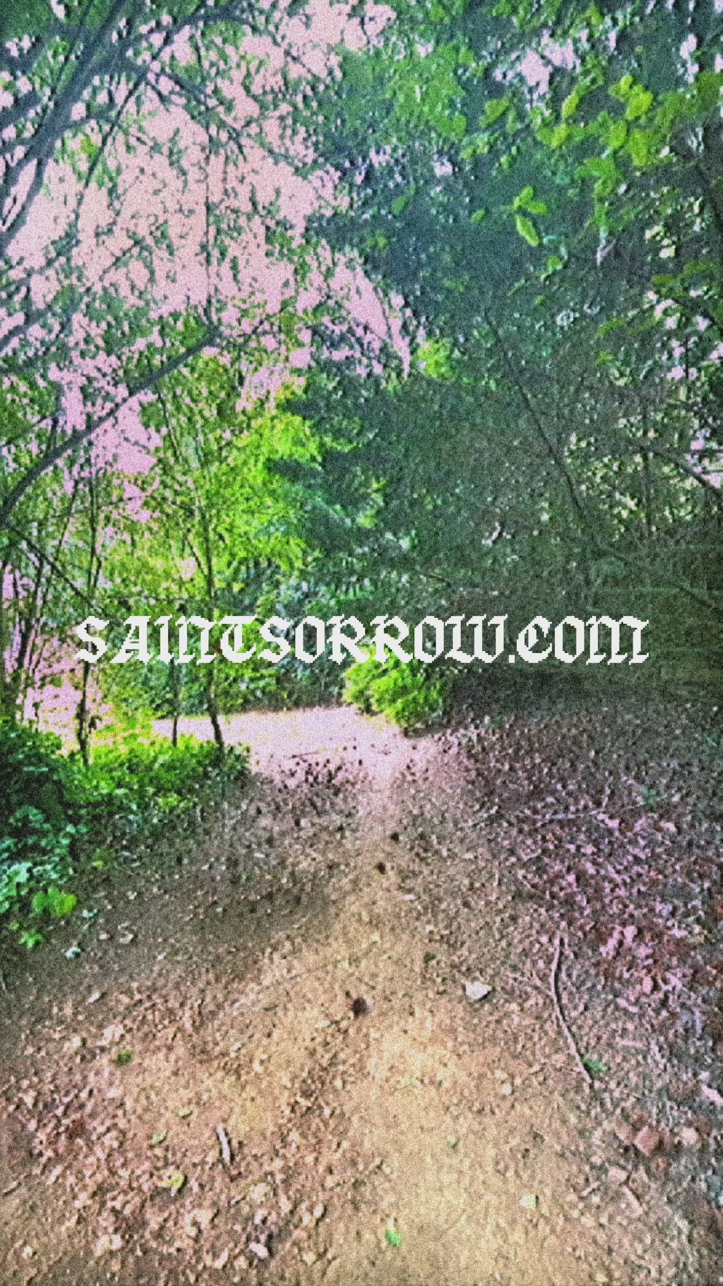 Saint Sorrow